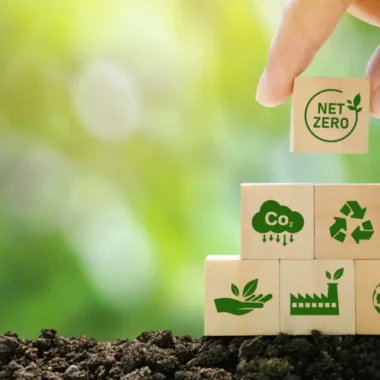 Sustainable Packaging: Apisvida’s Commitment to the Environment